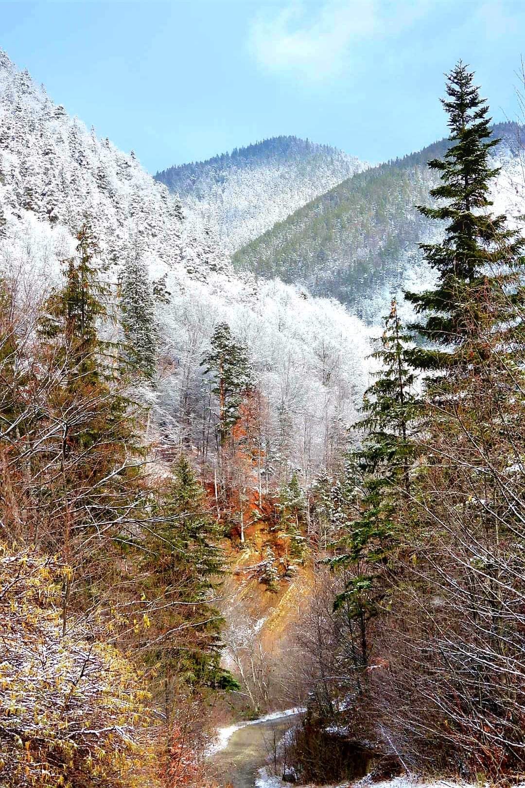 Iarna în Bisoca, Mănăstirea Poiana Mărului și Munții Furu aduce cu sine o atmosferă de poveste, un prilej rar de a redescoperi magia naturii.