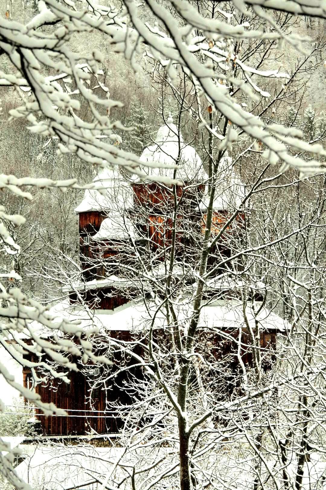 Iarna în Bisoca, Mănăstirea Poiana Mărului și Munții Furu aduce cu sine o atmosferă de poveste, un prilej rar de a redescoperi magia naturii.