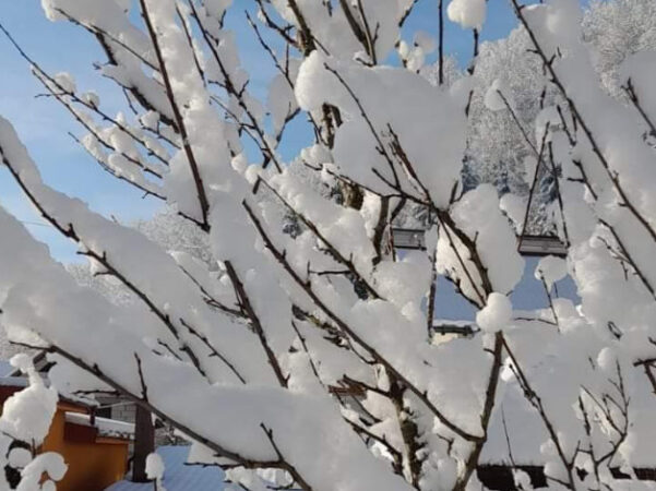 În unele zone din țară, temperaturi de -10°C , iarna cu ger În unele zone din țară, temperaturi de -10°C, iarna cu ger , în dimineața zilei de 24 noiembrie, Maramureșul a fost lovit de un val de frig extrem