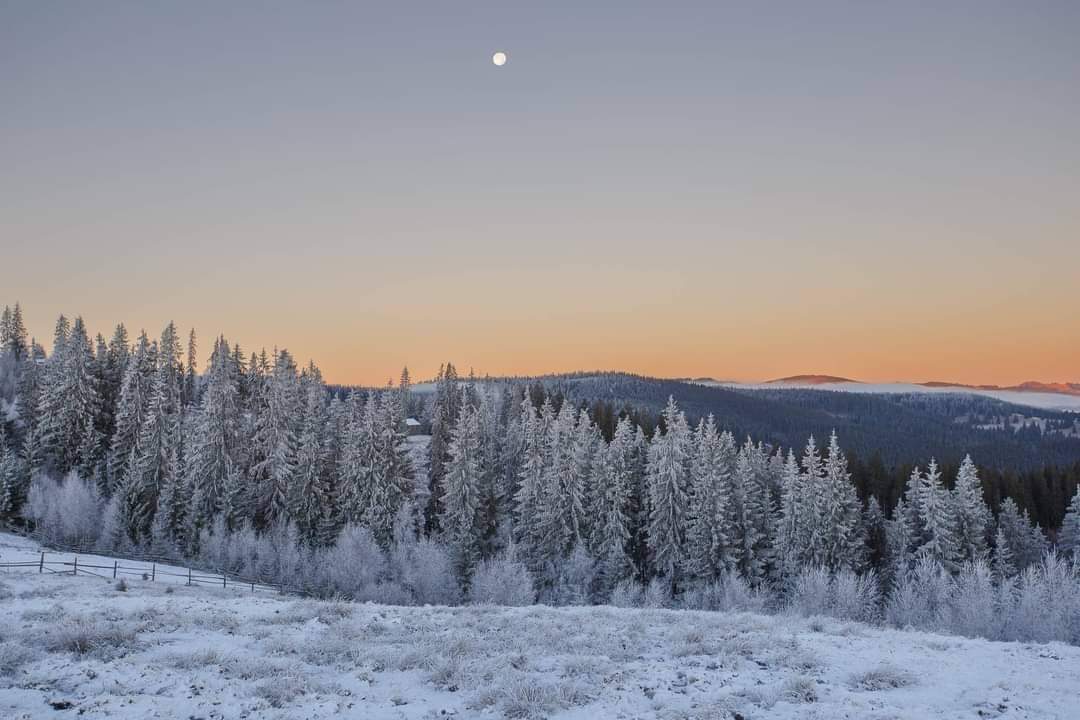 Magia Toamnei și Iernii  în Bucovina, într-un colț de lume unde tradiția se împletește cu natura, Bucovina continuă să fascineze prin frumusețea sa aproape mistică. .
