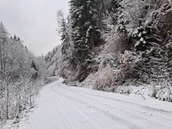 Munții Rodnei din Carpații Orientali s-au transformat într-un adevărat tablou de iarnă, oferind peisaje spectaculoase ce atrag iubitorii de natură și turiștii
