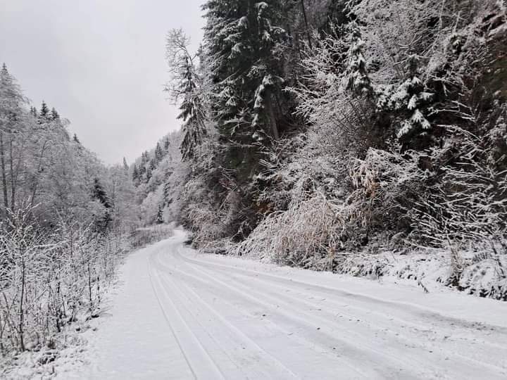 Munții Rodnei din Carpații Orientali s-au transformat într-un adevărat tablou de iarnă, oferind peisaje spectaculoase ce atrag iubitorii de natură și turiștii