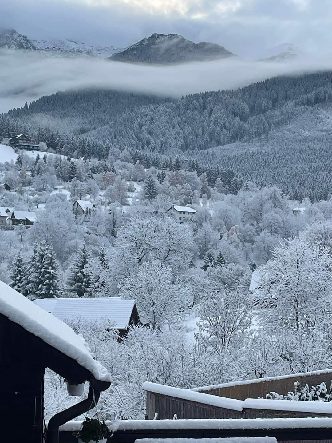 Peisaje de iarnă în Bran-Poarta! Cu o dimineață rece și aer curat, Bran-Poarta își dezvăluie splendoarea iernii timpurii!