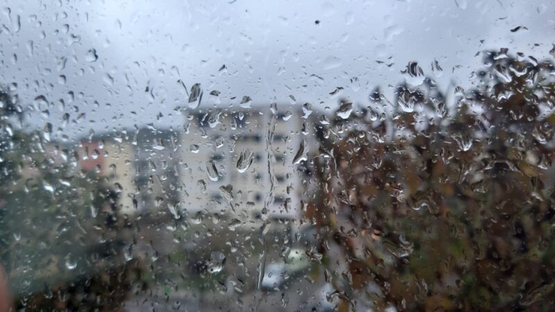 ACTUALIZARE METEOROLOGICĂ DE ULTIMĂ ORĂ: TREI CODURI GALBENE de VÂNT PUTERNIC și PLOI pentru județul DÂMBOVIȚA ACTUALIZARE METEOROLOGICĂ DE ULTIMĂ ORĂ: TREI CODURI GALBENE de VÂNT PUTERNIC și PLOI pentru județul DÂMBOVIȚA, meteorologii avertizează că urmează 72 de ore cu VREME SEVERĂ.
