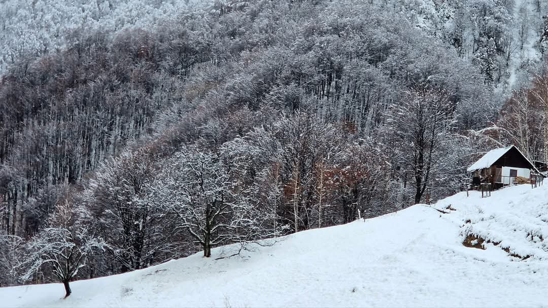 Iarna a adus un adevărat basm la Schitul Pătrunsa, un loc de o frumusețe deosebită din Parcul Național Buila-Vânturarița