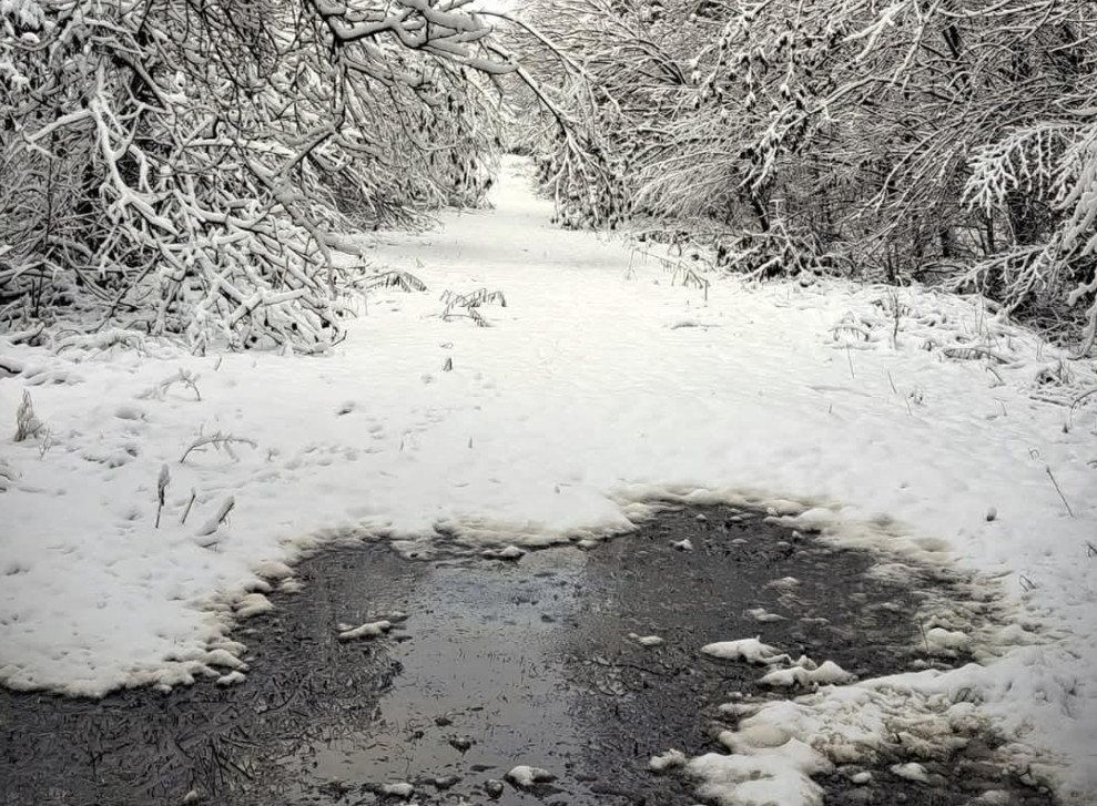 Iarna și-a făcut simțită prezența în pădurile administrate de Ocolul Silvic Adâncata, parte a Direcției Silvice Suceava