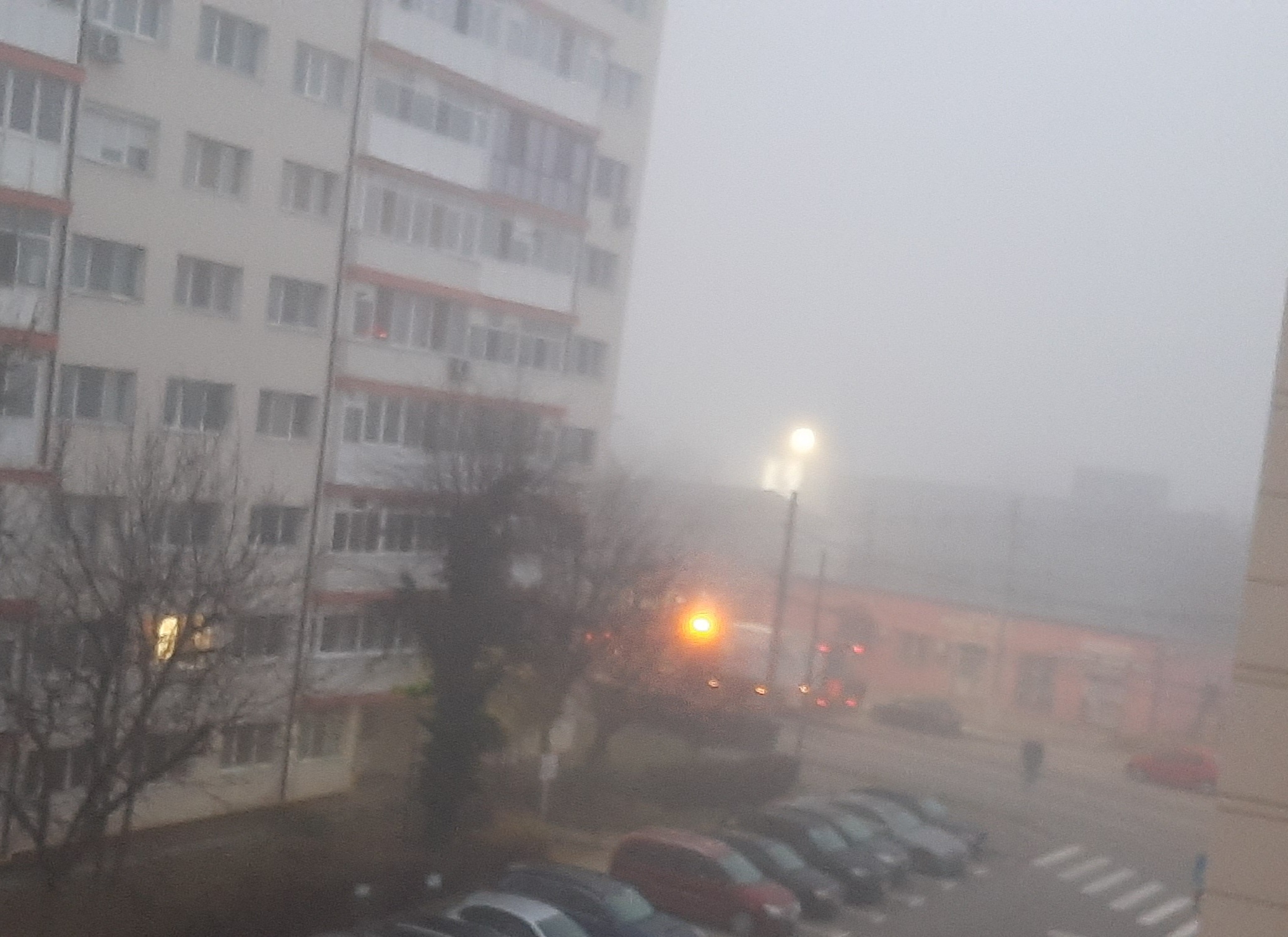 Avertizare nowcasting: Ceață densă în județul Dâmbovița, meteorologii au emis o avertizare nowcasting pentru județul Dâmbovița