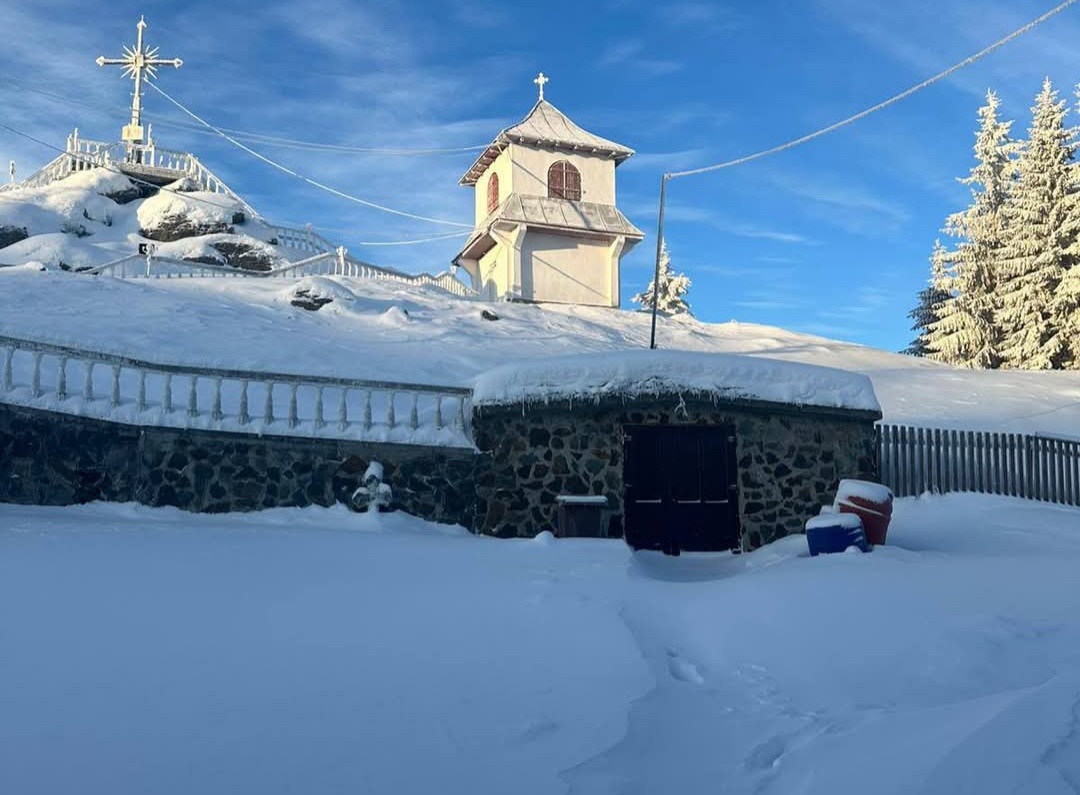 Iarna în Bucovina: Câinii ciobănești și frumuseți de neuitat în inima Carpaților.Bucovina, ținutul unde tradițiile și peisajele de poveste se împletesc