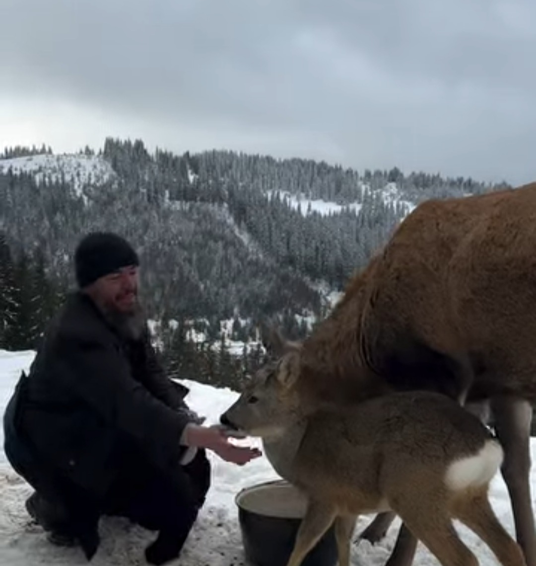 La Mănăstirea Piatra Tăieturii, iarna aduce cu ea nu doar frigul, ci și o poveste emoționantă despre comuniune și iubire între om și natură.