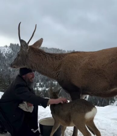 La Mănăstirea Piatra Tăieturii, iarna aduce cu ea nu doar frigul, ci și o poveste emoționantă despre comuniune și iubire între om și natură.