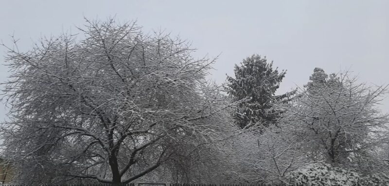 INFORMARE METEOROLOGICĂ în județul Dâmbovița: Ploi, lapoviță și intensificări ale vântului INFORMARE METEOROLOGICĂ în județul Dâmbovița: Ploi, lapoviță și intensificări ale vântului , vremea se va răci semnificativ