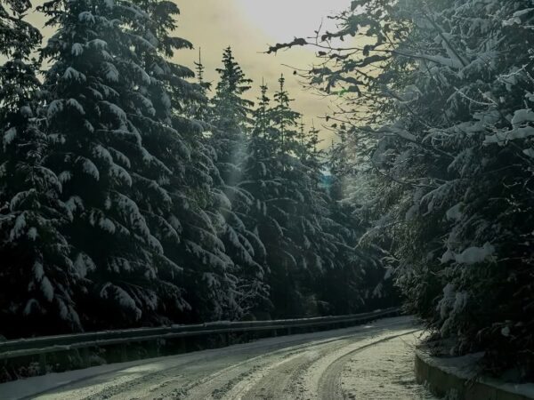 Atenționare METEO: COD GALBEN de VÂNT PUTERNIC în Dâmbovița până pe 17 decembrie Atenționare METEO: Județul Dâmbovița se află sub COD GALBEN de VÂNT puternic până marți, 17 decembrie, ora 21:00