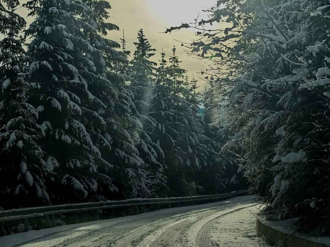 Atenționare METEO: Județul Dâmbovița se află sub COD GALBEN de VÂNT puternic până marți, 17 decembrie, ora 21:00