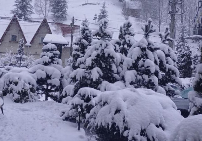 27 decembrie 2024, peisaje de vis în Moeciu de Sus: Iarna și povestea montană a Transilvaniei 27 decembrie 2024, peisaje de vis în Moeciu de Sus, scena unui peisaj de vis care a captivat vizitatorii și localnicii deopotrivă.