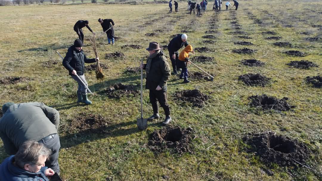 Pădurea Parașutiștilor se îmbogățește cu 1000 de stejari: Un proiect de suflet pentru comunitatea din Ghimpați.