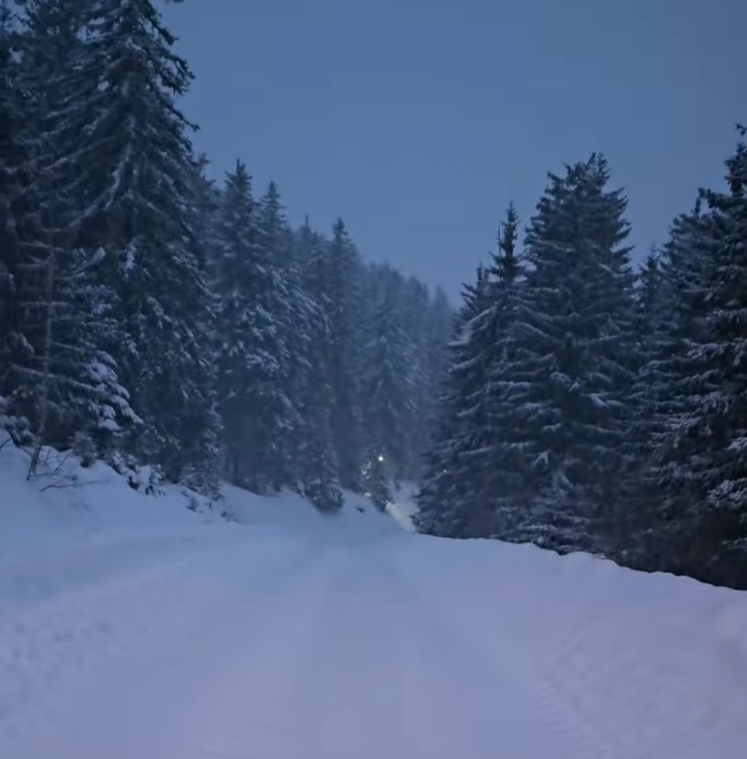 În mijlocul munților din Hunedoara, acoperită de un strat pufos de zăpadă, stațiunea Straja devine un loc de basm în fiecare iarnă.