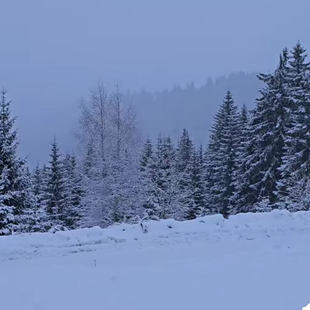 În mijlocul munților din Hunedoara, acoperită de un strat pufos de zăpadă, stațiunea Straja devine un loc de basm în fiecare iarnă.