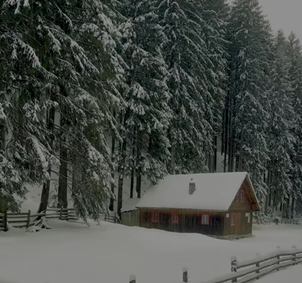 Un peisaj de vis în inima Bucegilor: Traseul Moieciu de Sus - Vârful Bucșa unde iarna a pus stăpânire pe Munții Bucegi