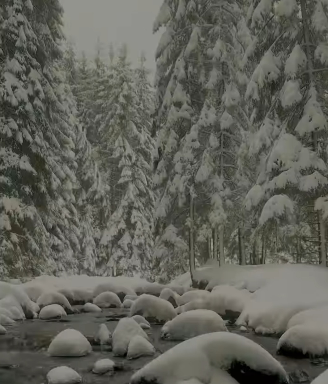 Un peisaj de vis în inima Bucegilor: Traseul Moieciu de Sus - Vârful Bucșa unde iarna a pus stăpânire pe Munții Bucegi