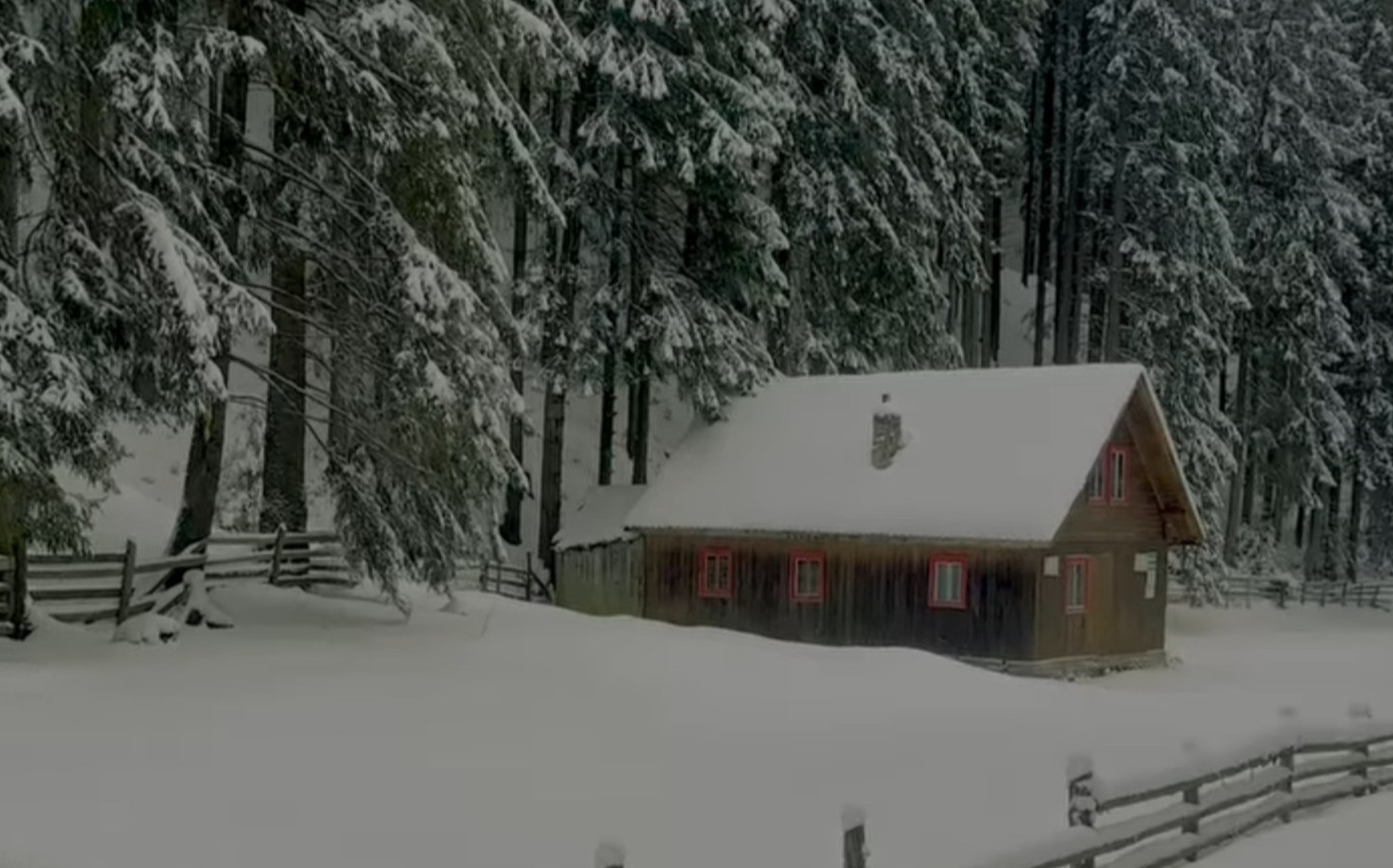 Un peisaj de vis în inima Bucegilor: Traseul Moieciu de Sus - Vârful Bucșa unde iarna a pus stăpânire pe Munții Bucegi