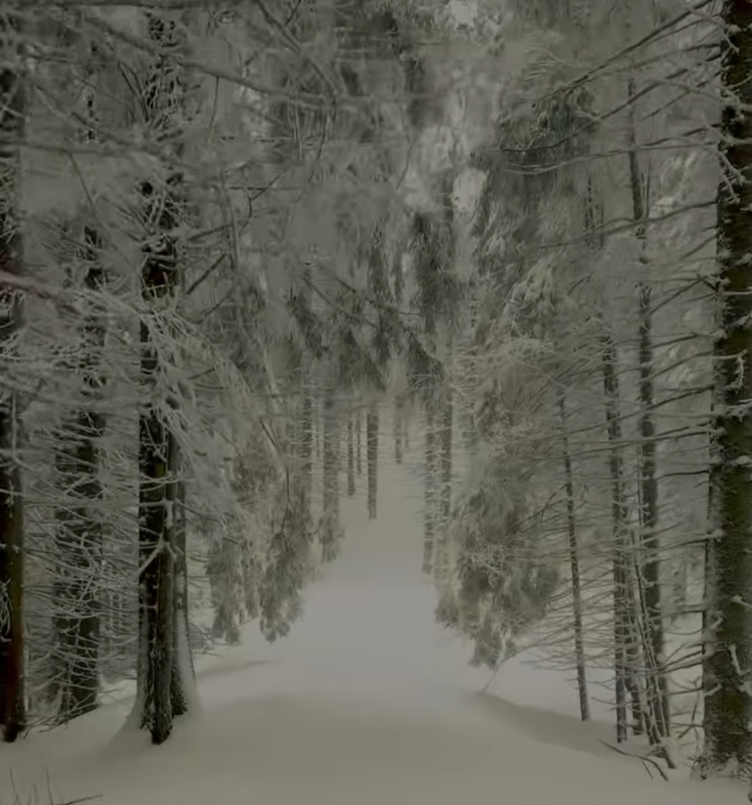 Un peisaj de vis în inima Bucegilor: Traseul Moieciu de Sus - Vârful Bucșa unde iarna a pus stăpânire pe Munții Bucegi