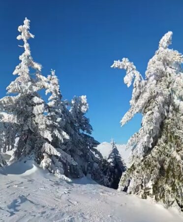 Un colț de rai din România: Iarna magică în Munții Ciucaș Un colț de rai din România: Iarna magică în Munții Ciucaș în inima Carpaților, unde natura încă își păstrează puritate.