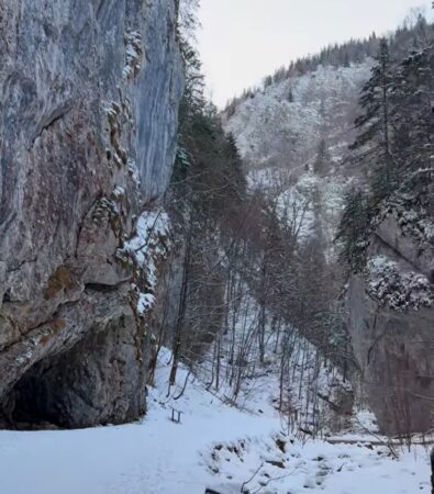 Cheile Zărneștiului: Un colț de rai împodobit cu zăpadă, o destinație deosebită pentru iarnă Cheile Zărneștiului, situate între stâncile impunătoare ale Munților Piatra Craiului, se numără printre cele mai spectaculoase atracții naturale din România