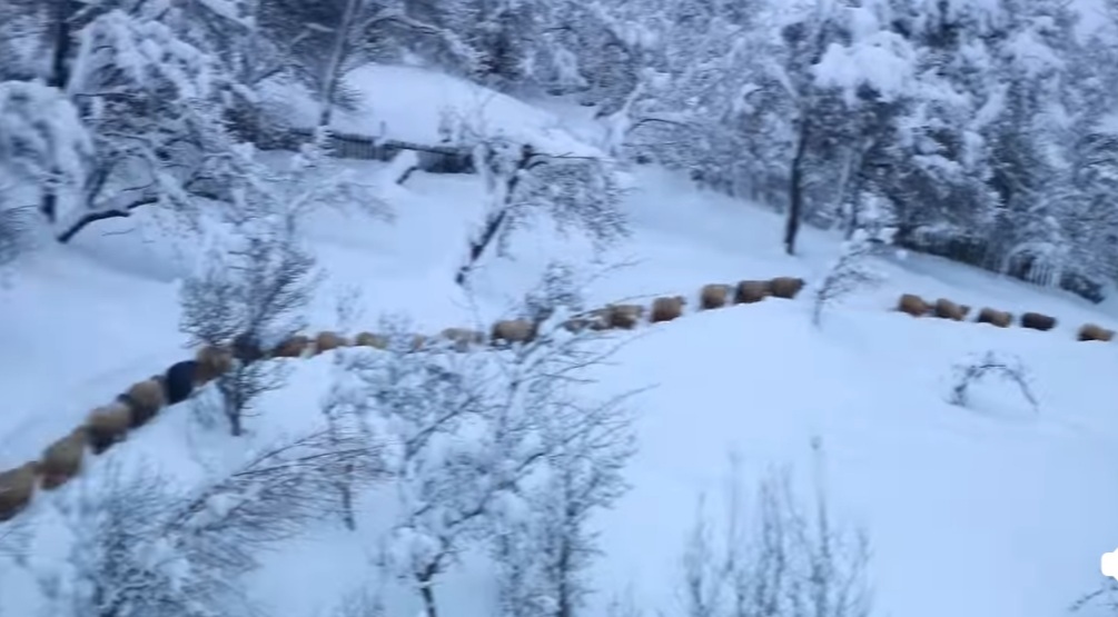 Descoperă farmecul Munților Șureanu, în inima județului Hunedoara, la poalele munților ce poartă numele Șureanu, se află un loc de poveste