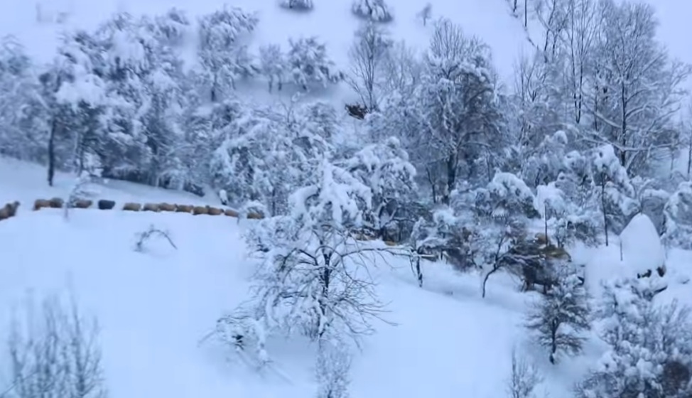 Descoperă farmecul Munților Șureanu, în inima județului Hunedoara, la poalele munților ce poartă numele Șureanu, se află un loc de poveste