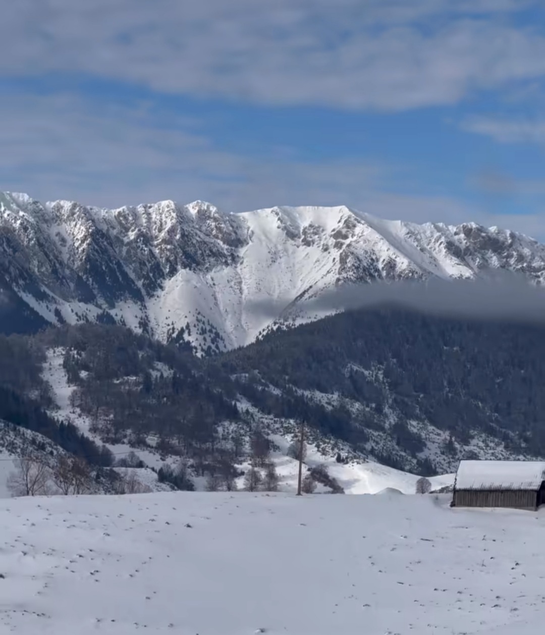 Fundata, o localitate de poveste din județul Brașov, atrage tot mai mulți vizitatori în căutare de liniște, natură autentică și peisaje de neuitat.