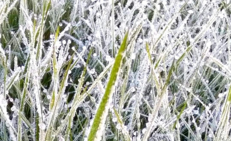 Ger în toată țara: Temperaturi de până la -17,5°C în depresiuni Ger în toată țara, în această dimineață de 12 ianuarie, România se confruntă cu un val de frig intens, care a adus temperaturi record în mai multe zone ale țării.