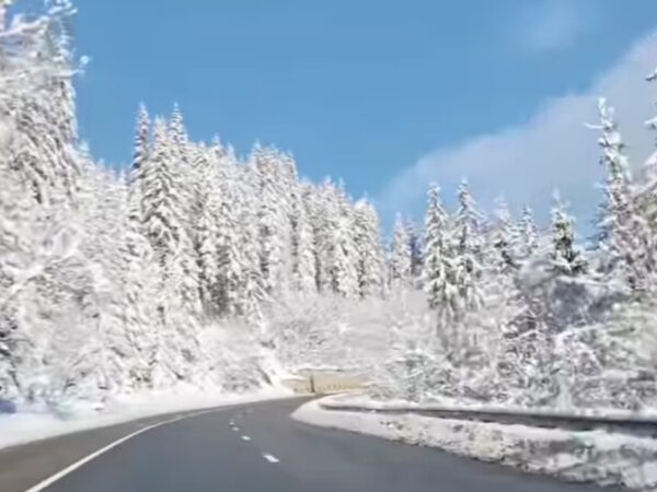 Imaginile zilei: Iarna, un basm viu în inima Carpaților Orientali Imaginile zilei: Iarna, un basm viu în inima Carpaților Orientali. În această iarnă, Pasul Mestecăniș, situat pe drumul european E58