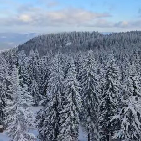 Peisajele de basm de la Pietrele Doamnei continuă să fascineze vizitatorii Peisajele de basm de la Pietrele Doamnei continuă să fascineze vizitatorii, iar iarna pare să nu aibă intenția de a părăsi acest loc magic.
