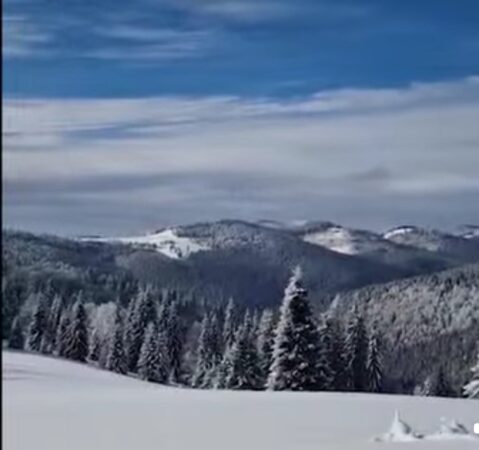 Peisaje hibernale spectaculoase în pădurile României Peisaje hibernale spectaculoase în pădurile României , Ocolul Silvic Dorna Candrenilor din cadrul Direcției Silvice Suceava