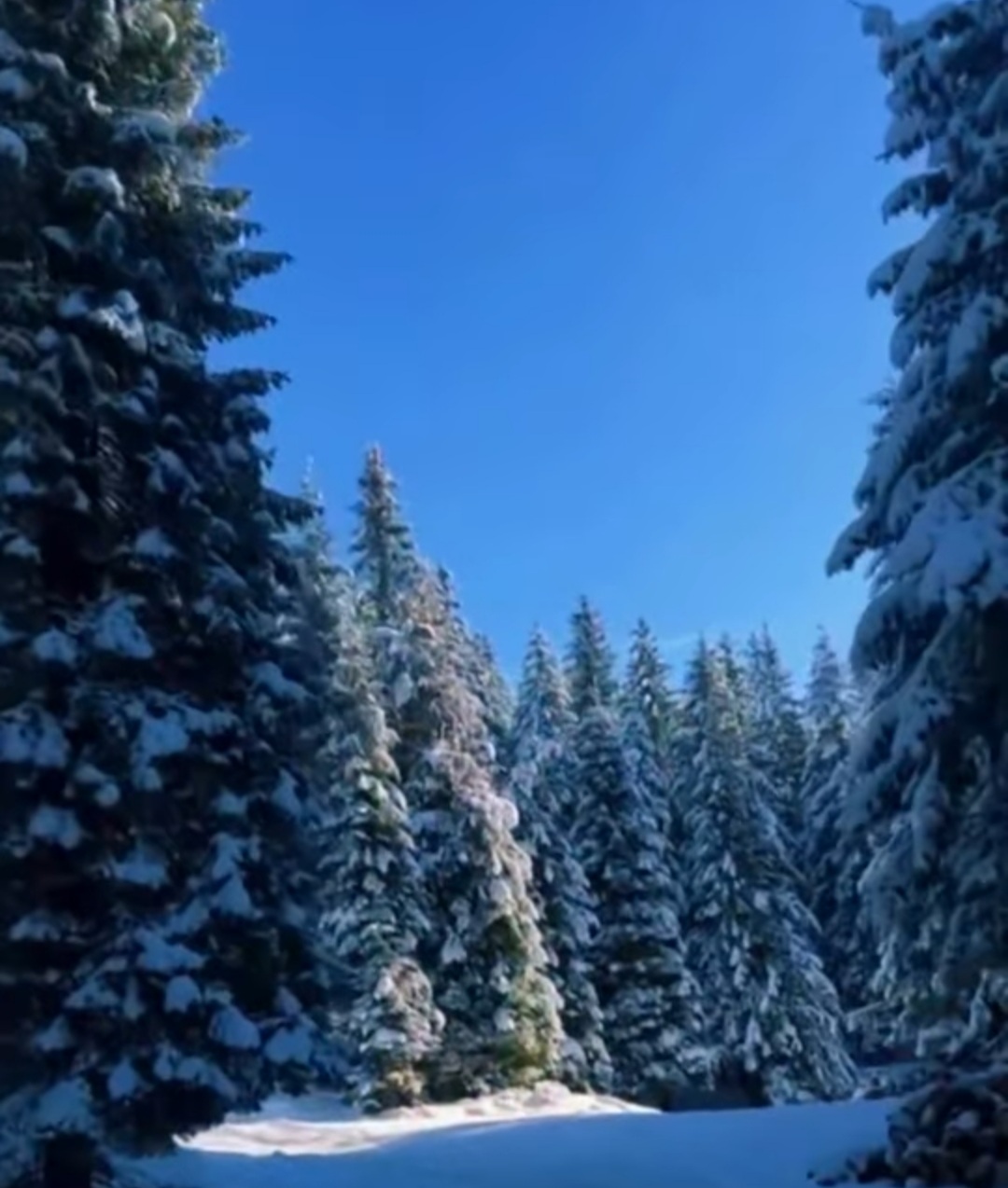 Bijuteriile ascunse ale județului Vâlcea.Într-un colț mai puțin cunoscut al județului Vâlcea, ascuns printre pădurile seculare și stâncile impunătoare ale Munților Căpățânii