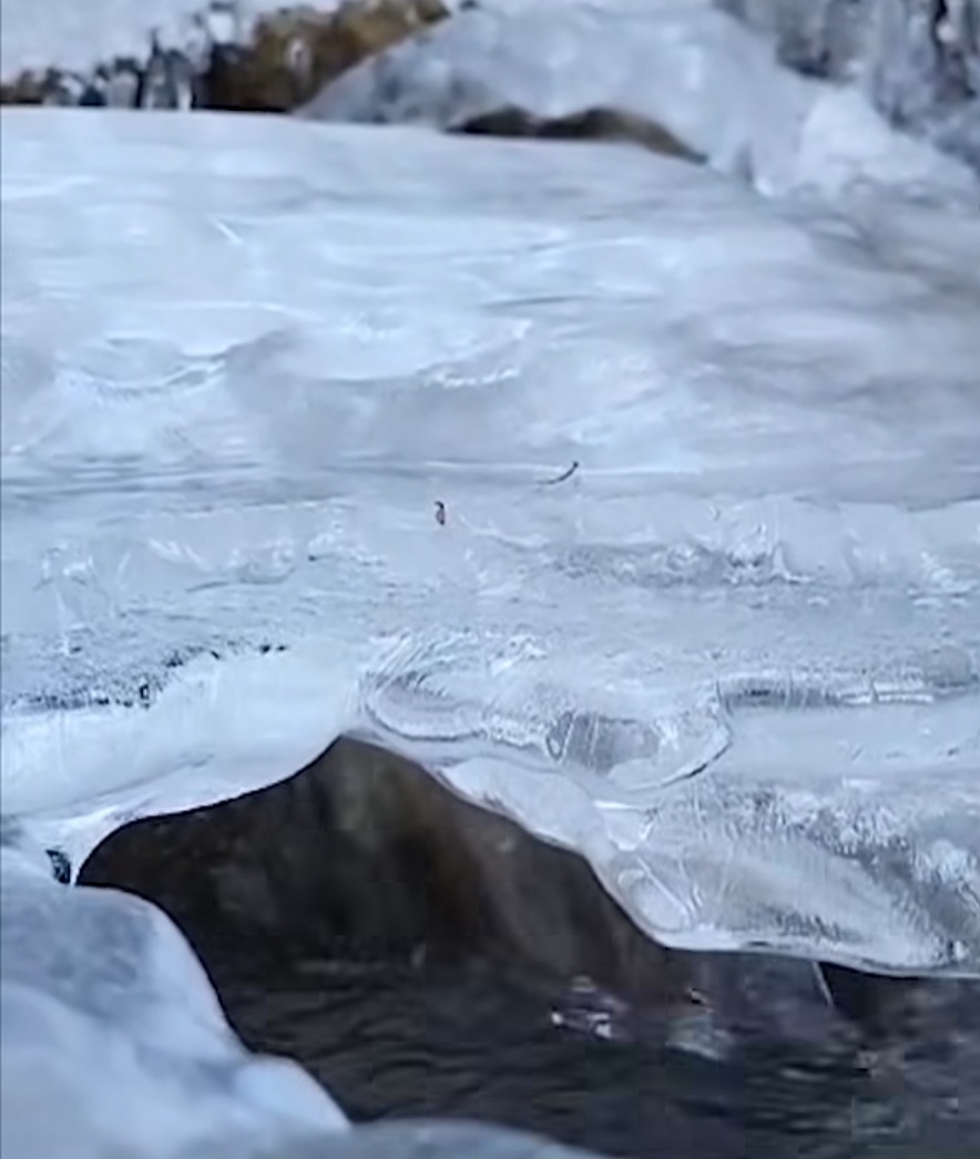 Cascada de pe râul Bărzăuța, surprinsă în fotografii spectaculoase , ce captează esența naturii sălbatice într-o perioadă magică a anului.