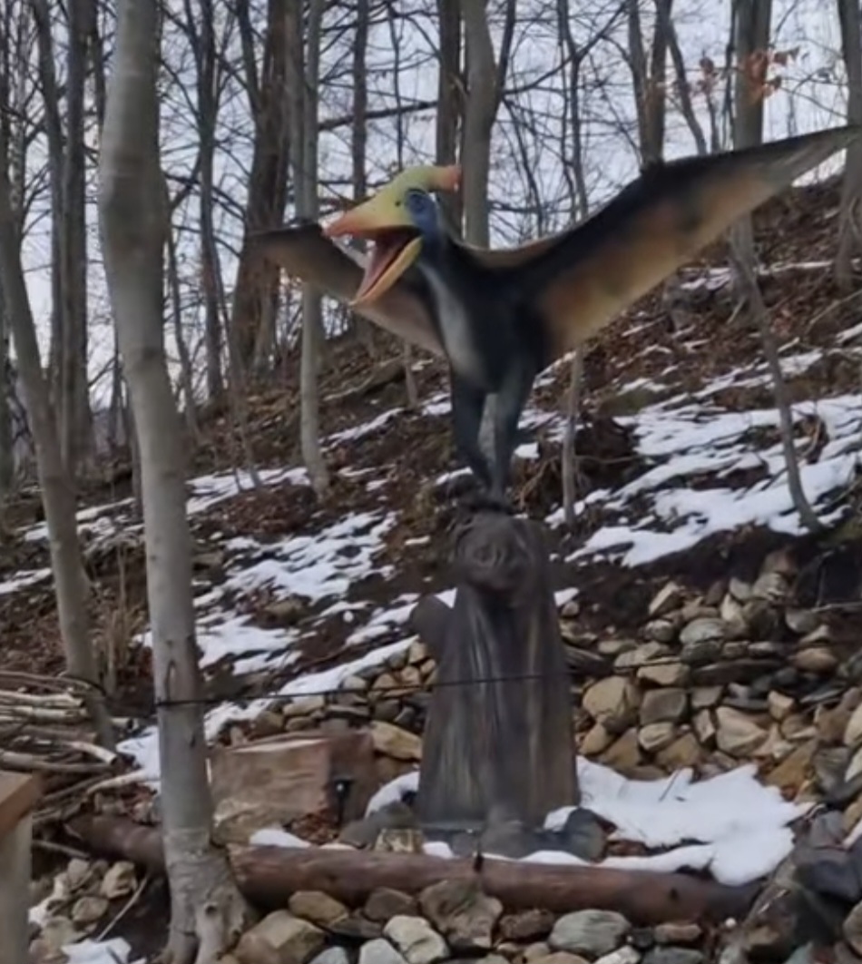 Dexiworld Park Malaia, destinația perfectă pentru o aventură, dacă sunteți în căutarea unei experiențe de neuitat în mijlocul naturii.