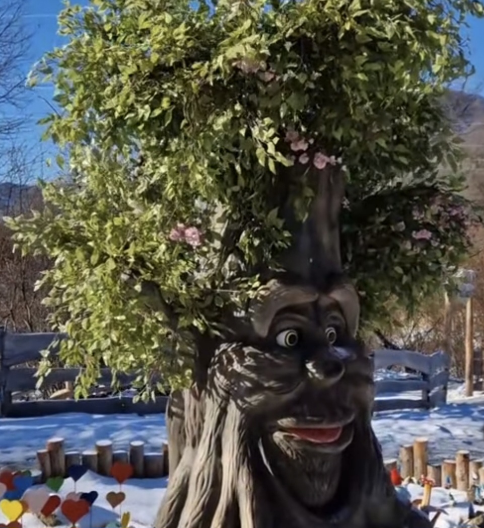 Dexiworld Park Malaia, destinația perfectă pentru o aventură, dacă sunteți în căutarea unei experiențe de neuitat în mijlocul naturii.