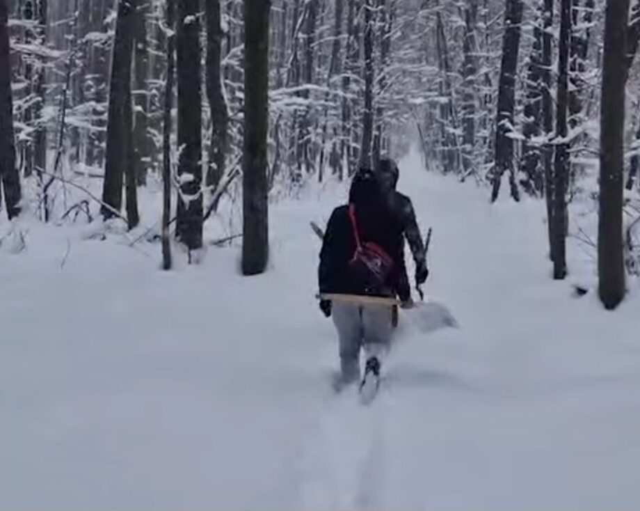 În plină iarnă, grijă pentru fauna sălbatică: Hrănitori alimentate zi de zi.