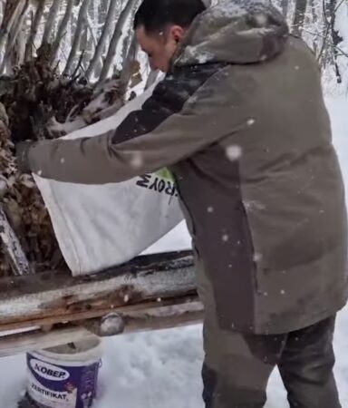 În plină iarnă, grijă pentru fauna sălbatică: Hrănitori alimentate zi de zi.