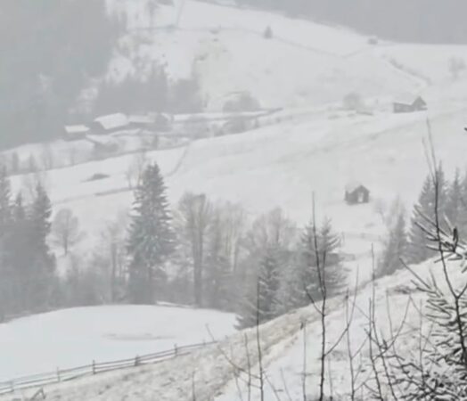 Iarnă de poveste la Pasul Ciumârna Pasul Ciumârna din Bucovina a devenit un adevărat colț de rai, unde iarna și-a arătat toată splendoarea. Cu un strat gros de zăpadă