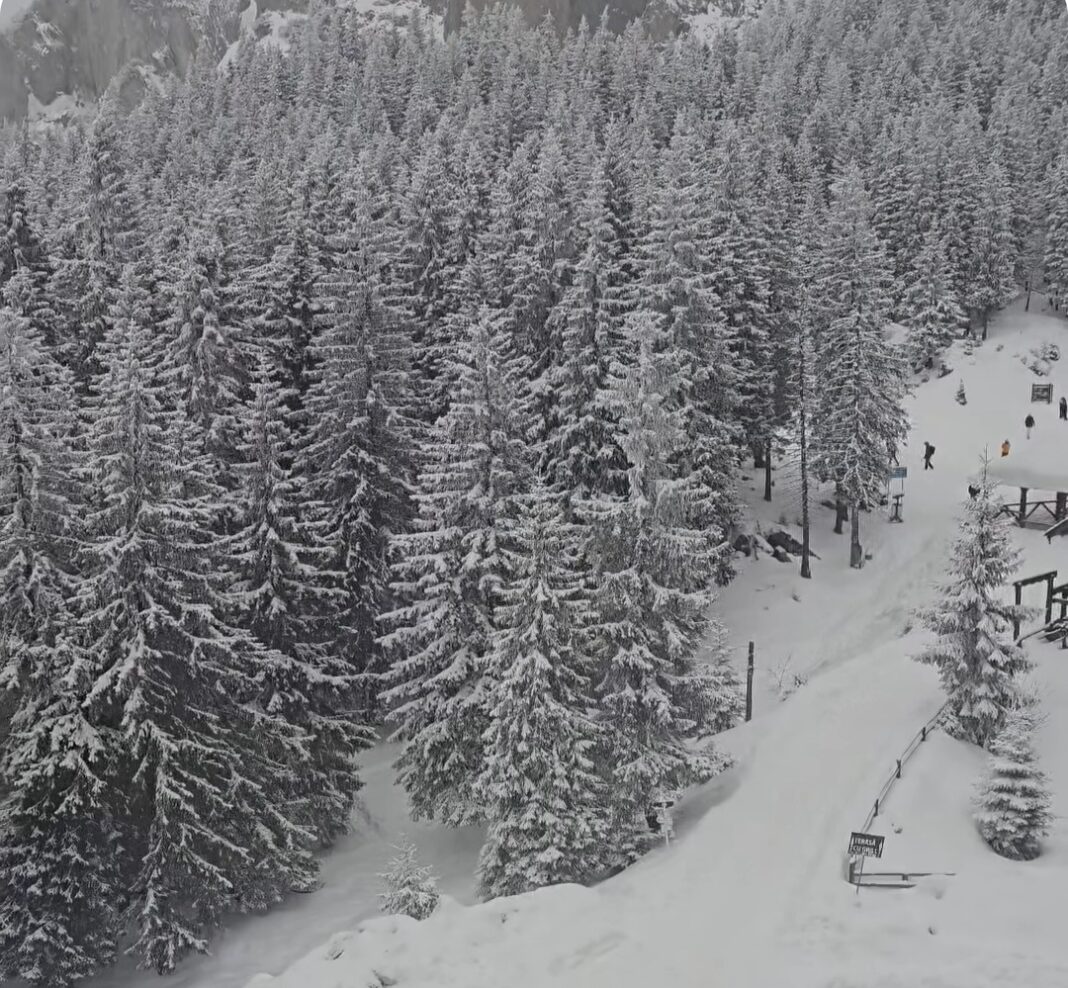 Basm de iarnă, drumul TransRarău, celebru pentru peisajele sale spectaculoase, este complet deszăpezit și acum accesibil pentru orice tip de mașină. Așadar, dacă îți dorești o escapadă în natură, este momentul perfect să explorezi acest traseu montan fabulos!