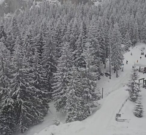 Basm de iarnă, drumul TransRarău – accesibil și sigur pentru toți vizitatorii! Basm de iarnă, drumul TransRarău, celebru pentru peisajele sale spectaculoase, este complet deszăpezit și acum accesibil pentru orice tip de mașină. Așadar, dacă îți dorești o escapadă în natură, este momentul perfect să explorezi acest traseu montan fabulos!