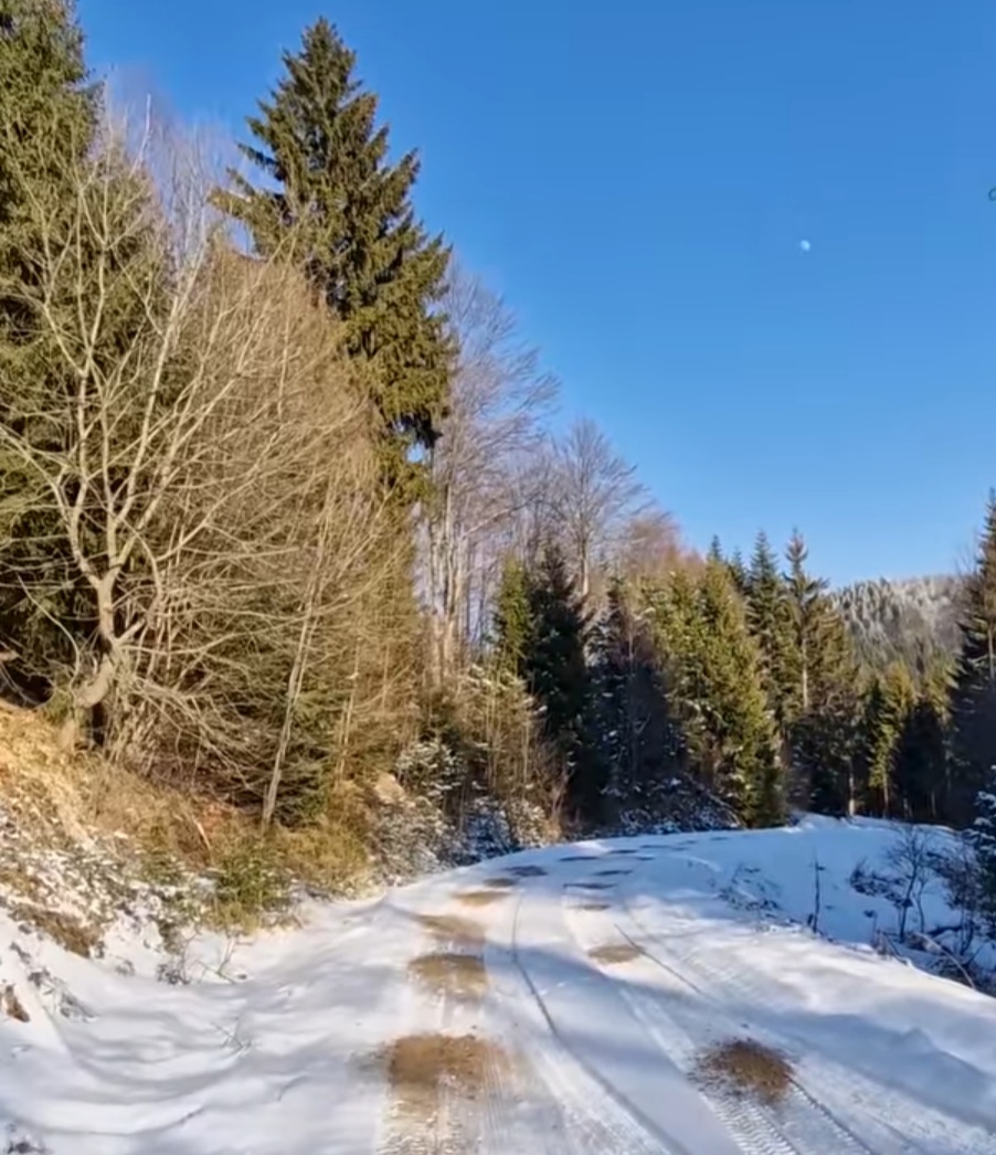 Peisaje de basm în inima pădurilor din Ocolul Silvic Vintilă Vodă, drumurile forestiere Purcelu-Mărtinu și Casele Bisocii sunt gata să facă față oricăror provocări, chiar și în mijlocul iernii.