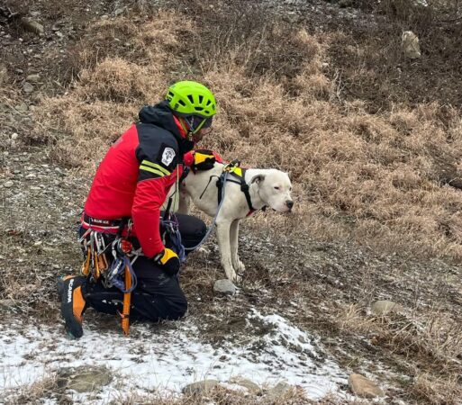 Salvarea unui câine abandonat pe munte: O lecție de compasiune și solidaritate Salvarea unui câine abandonat pe munte.