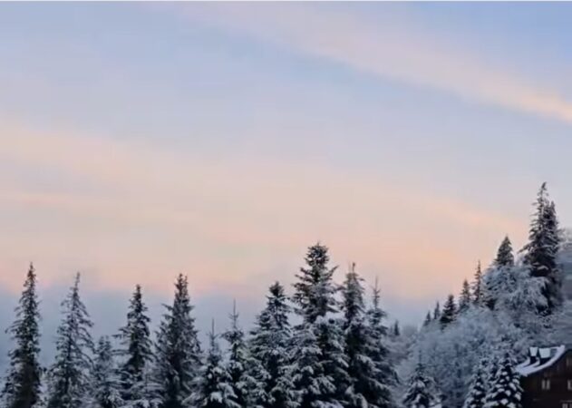 Iarna autentică de februarie în Bucovina care se transformă într-un tărâm de basm, unde diminețile de februarie sunt pline de magie și frumusețe autentică.