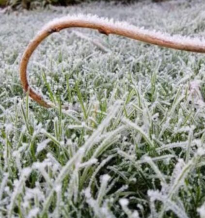 Tot județul Dâmbovița este sub INFORMARE METEOROLOGICĂ de GER până pe 13 februarie Tot județul Dâmbovița se află sub o informare meteorologică de ger puternic, iar prognoza ANM indică o perioadă extrem de rece, ce va dura până pe 13 februarie. Temperaturi record vor afecta zona, iar nopțile și diminețile vor fi marcate de frig intens.
