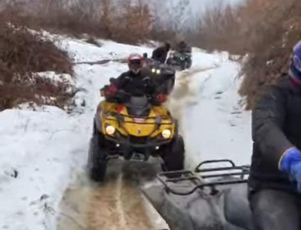 Ocolul Silvic Sturzeni, parte din Direcția Silvică Dâmbovița, face apel către toți iubitorii de natură să respecte reglementările privind accesul în pădurile