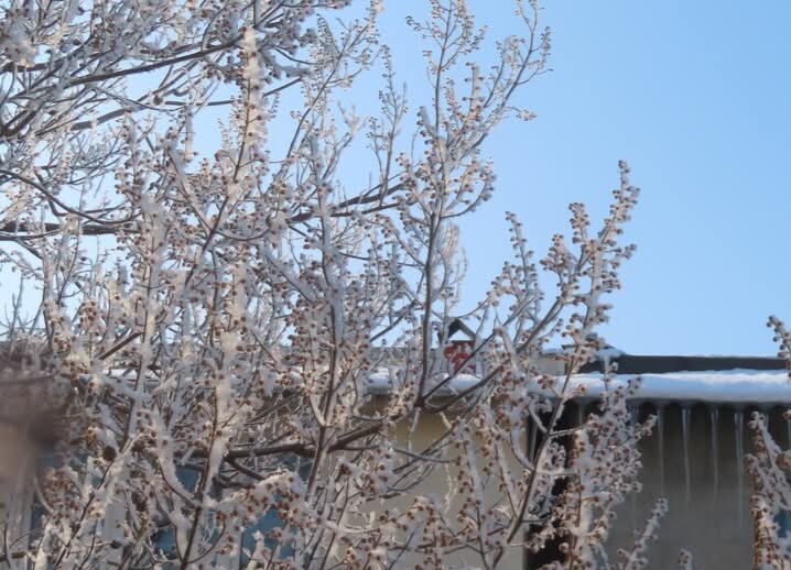 Miercuri, 26 februarie 2025, Târgoviște are  o dimineață rece, cu temperaturi negative. Deși dimineața este ger, se așteaptă ca vremea să se încălzească pe parcursul zilei.