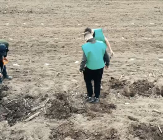 „Luna Pădurii” 2025: Romsilva lansează campania de primăvară pentru regenerarea pădurilor „Luna Pădurii” 2025! Începând cu 15 martie 2025, Regia Națională a Pădurilor – Romsilva a dat startul „Lunii Plantării Arborilor” și al campaniei de împăduriri de primăvară, printr-o acțiune de plantare a arborilor